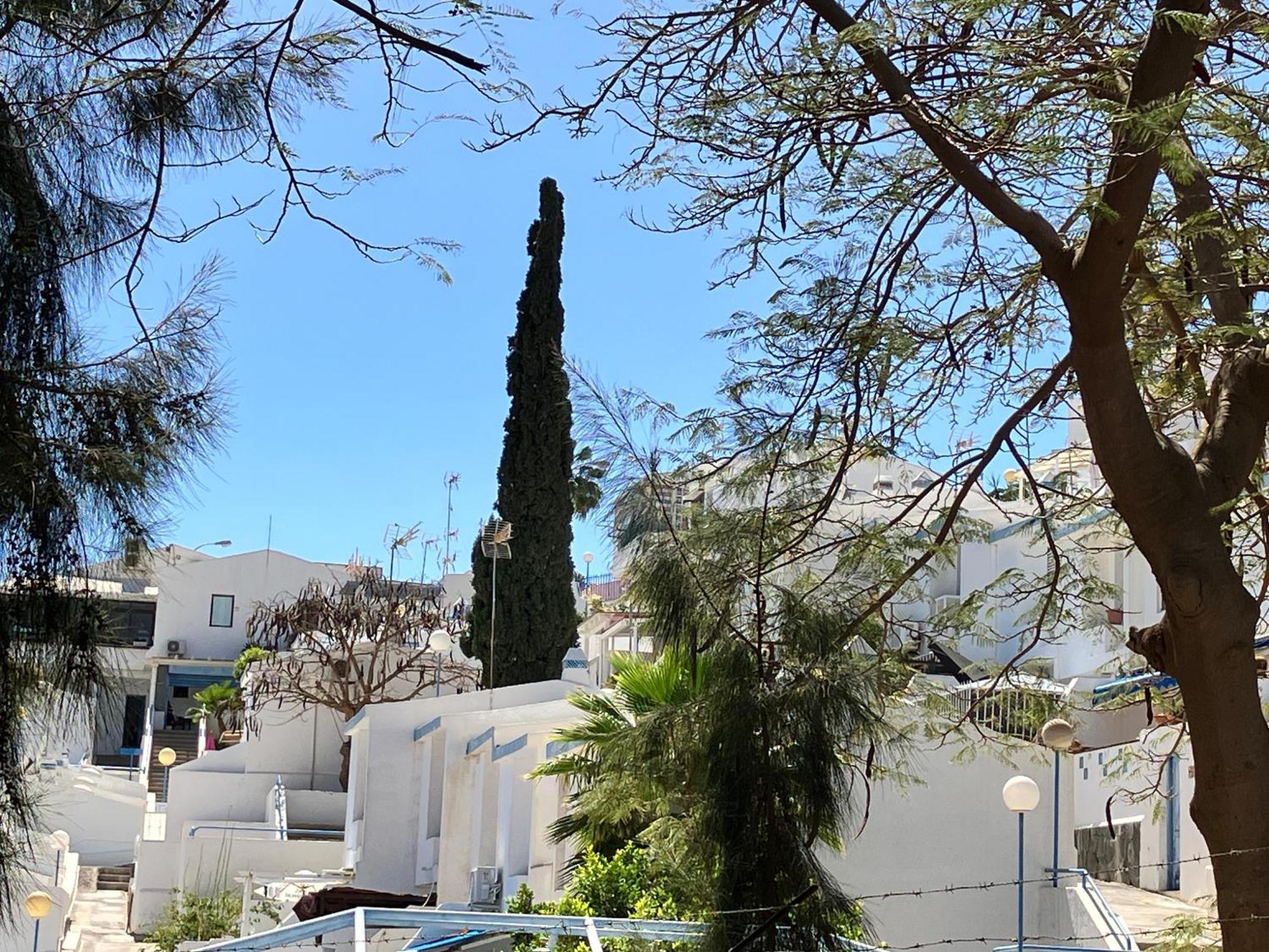 Casakash Sonnenland Lejlighed Maspalomas  Eksteriør billede