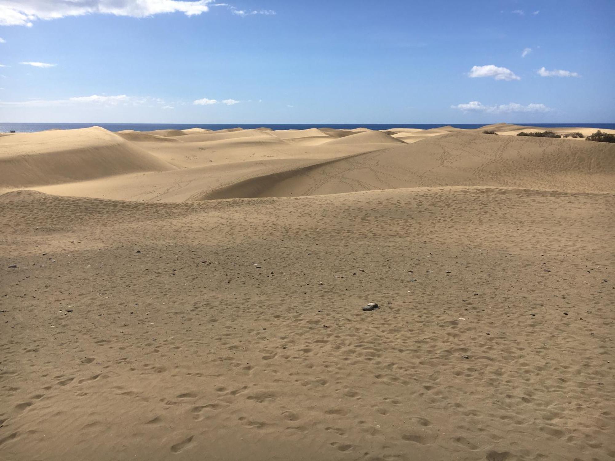 Casakash Sonnenland Lejlighed Maspalomas  Eksteriør billede